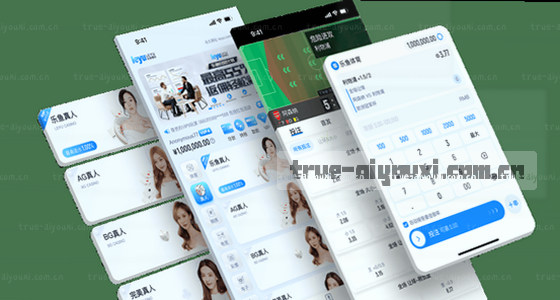 如何通过访问入口进入系统？